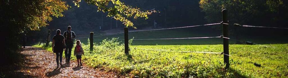 Die schnsten Spaziergnge in Sdbaden