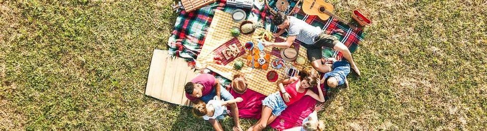 Charmante Picknickpltze in Freiburg