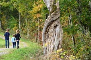 Hochmoor-Rundweg