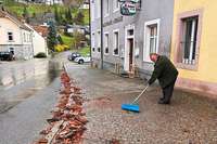 Sturm bringt Bume zu Fall und deckt in Malsburg-Marzell Dcher ab