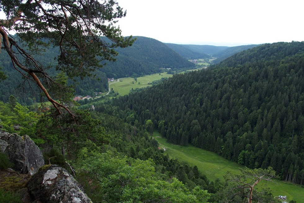 Bildsteinfelsen - Dachsberg (Sdschwarzwald)