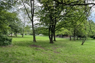 Zähringer Park