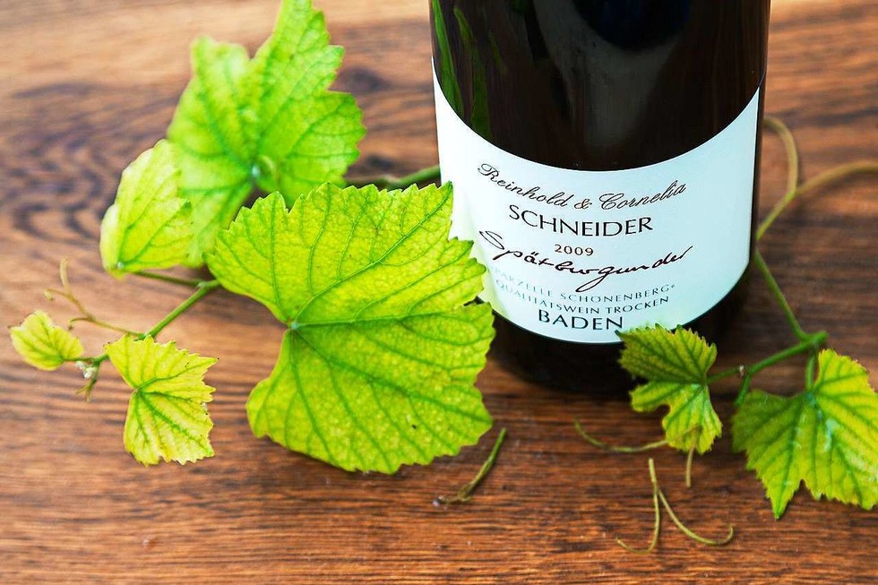 Weingut Schneider - Endingen