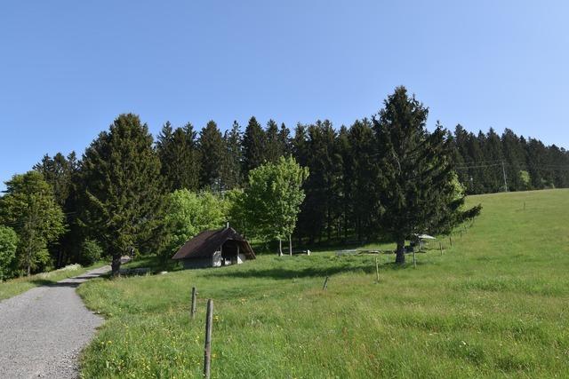 Grillhütte Ebenehof (Todtnauberg)