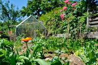 Wie leicht ein Garten nachhaltig gestaltet werden kann