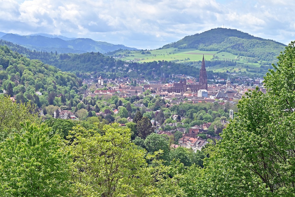 Hebsackwiese / Eichhalde (Herdern) - Freiburg