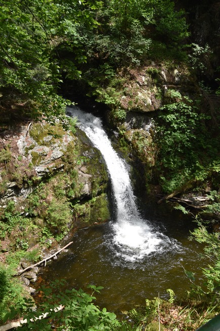 Prgbach-Wasserfall - Todtnau