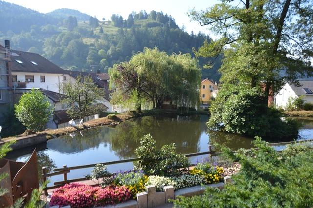 Schwanenweiher