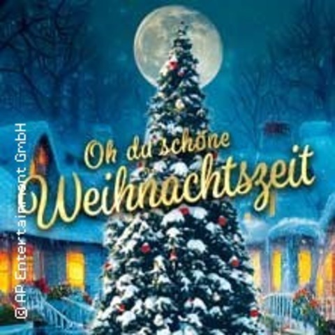 Oh du schne Weihnachtszeit - Eine musikalische Weihnachtsgeschichte - AMBERG - 19.12.2024 19:30