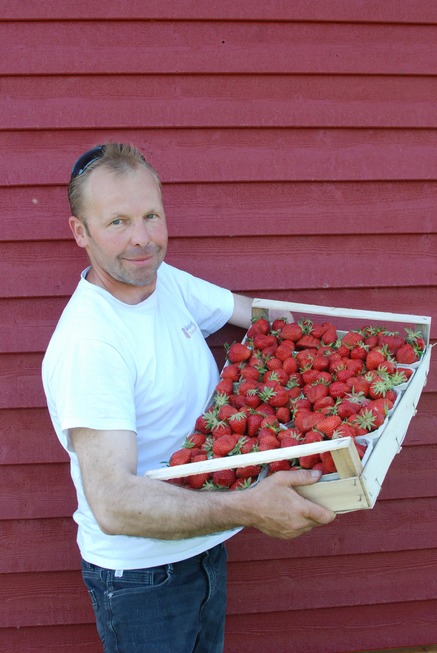 Wochner - Erdbeeren und Feldsalat - Merdingen