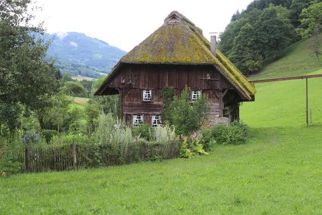 Landwasserhofmühle (Oberprechtal)