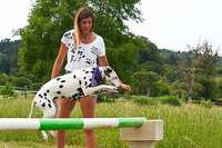 Pfaffenweilerin tritt mit ihrer Dalmatiner-Hndin bei der RTL-Show "Top Dog Germany" auf