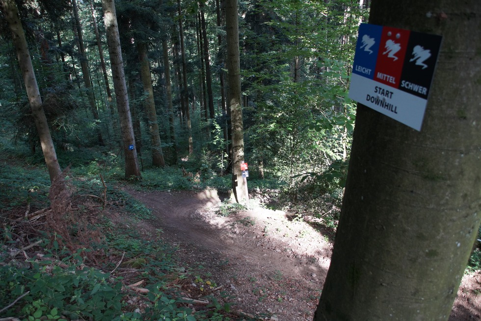 Hexenwald-Trailpark - Kirchzarten
