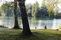 Wegen schdlicher Bakterien ist der Groe Niederwaldsee in Teningen ab sofort gesperrt