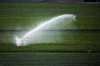 Neue Wasserverbnde sollen Landwirten im sdlichen Breisgau beim Beregnen helfen
