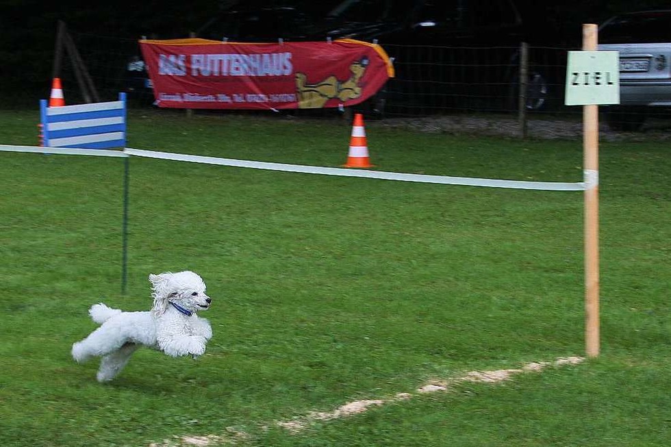 Hundesportplatz Pudel-Club Fahrnau - Schopfheim