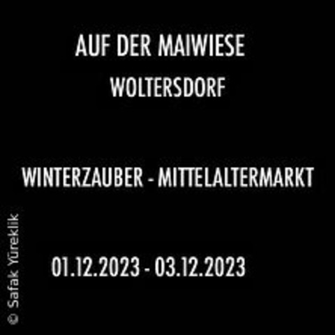 Mittelalterliches Wintermarkt Spektakel - WOLTERSDORF, BRANDENBURG, GERMANY - 06.12.2024 14:00