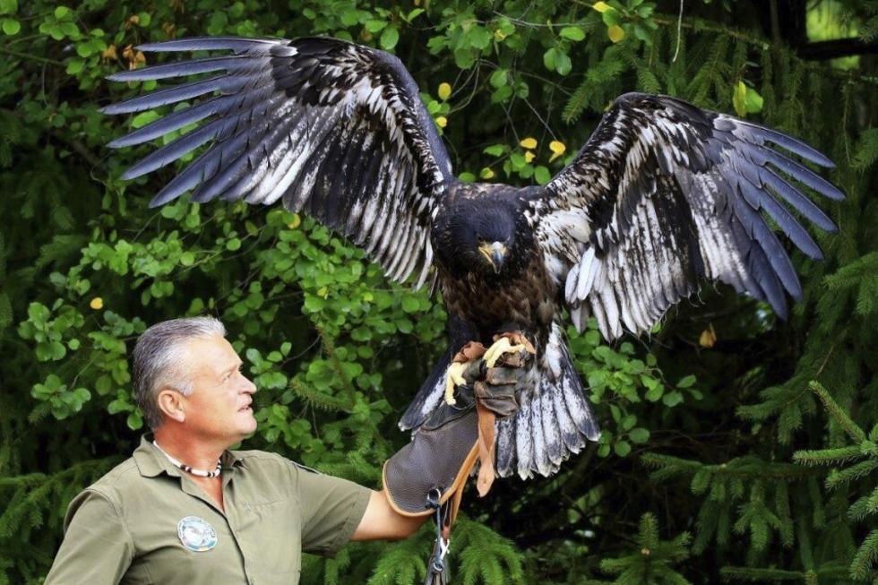 Im Vogelpark Steinen knnen Vgel aus aller Welt bestaunt werden - Badische Zeitung TICKET