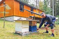 Imkerverein informiert im Kleinen Wiesental ber die Bienenhaltung