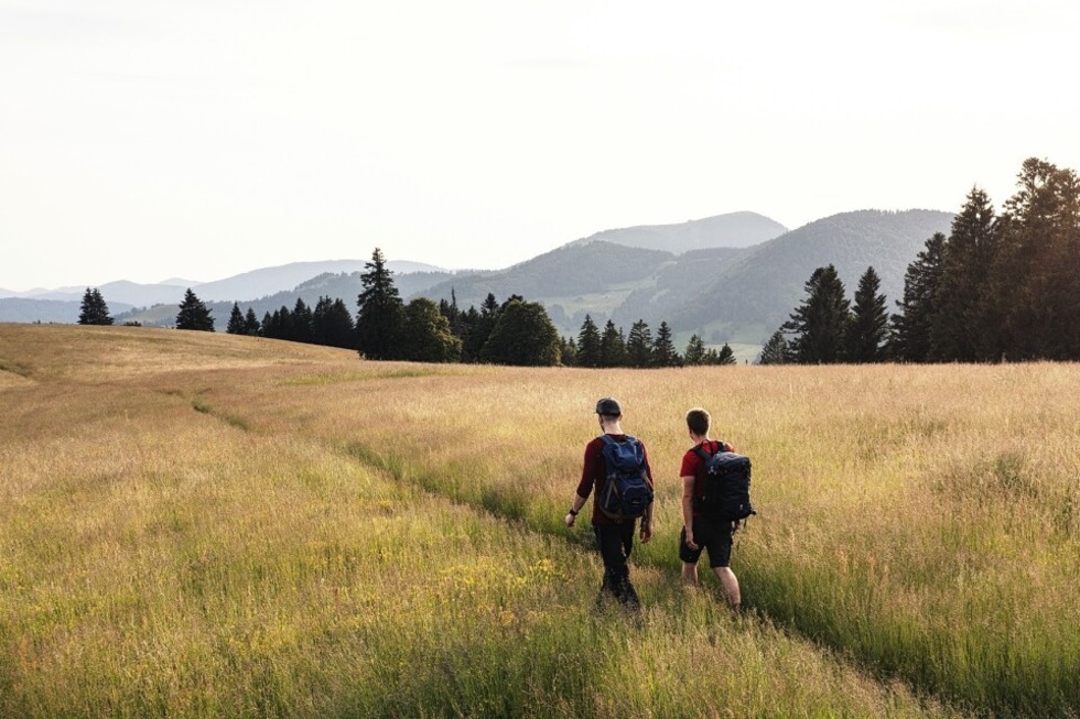Goldene Herbstwanderwoche in der Schwarzwaldregion Belchen - Badische Zeitung TICKET