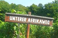 Warum gibt es ein Stck Afrika in Pfaffenweiler?