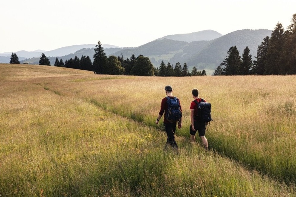 Goldene Herbstwanderwoche im Sdschwarzwald - Badische Zeitung TICKET