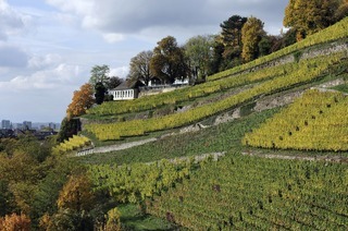 Breisgauer Weinweg