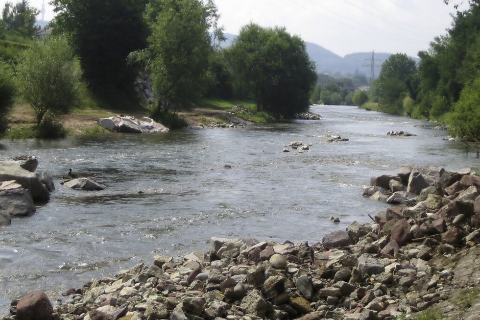 Mit dem BUND zum Umgang mit Hoch- und Niedrigwasser an der Wiese bei Schopfheim - Badische Zeitung TICKET