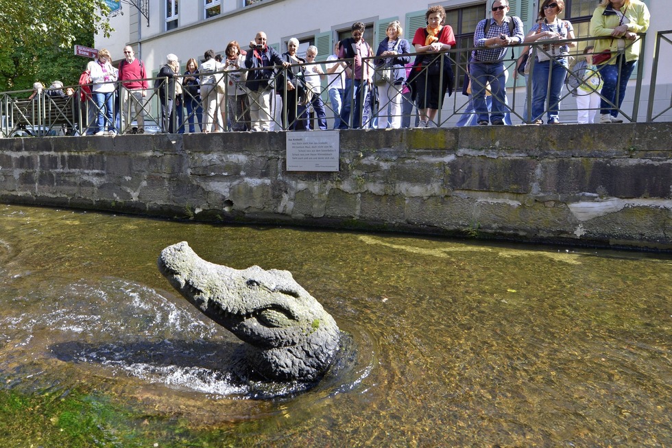 Krokodil im Gewerbekanal - Freiburg