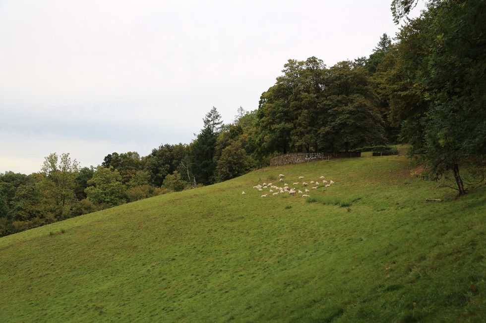 Kommandantengarten - Freiburg