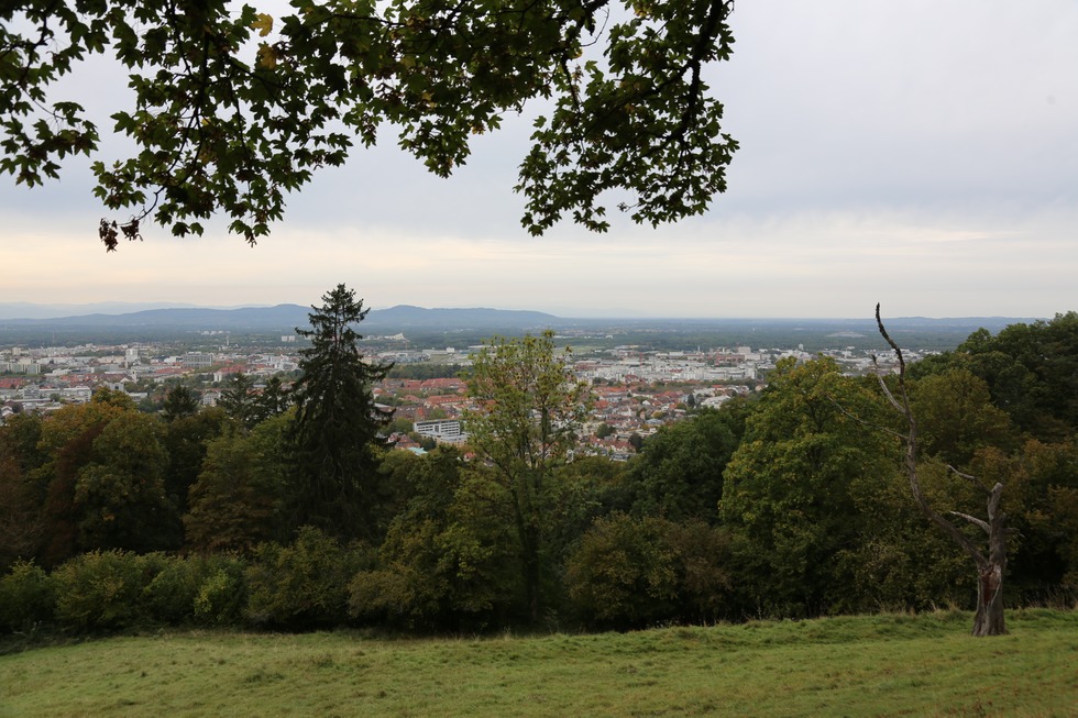 Kommandantengarten - Freiburg