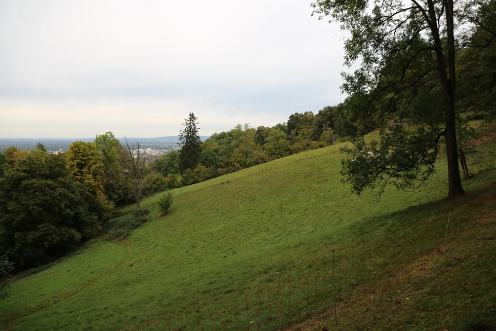 Kommandantengarten - Freiburg