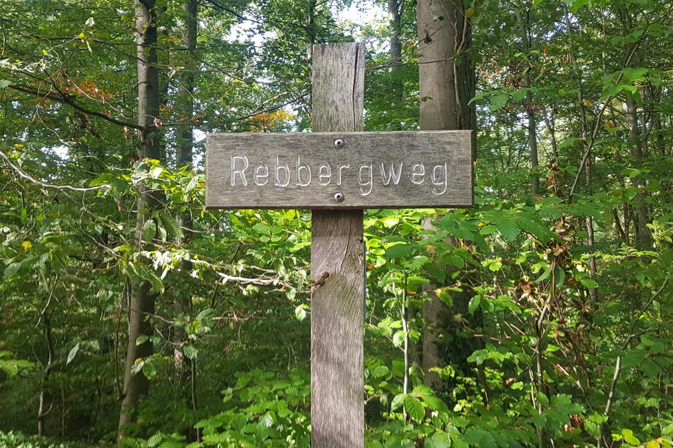 Aussichtspunkt am Rebberweg (Gundelfingen) - Gundelfingen