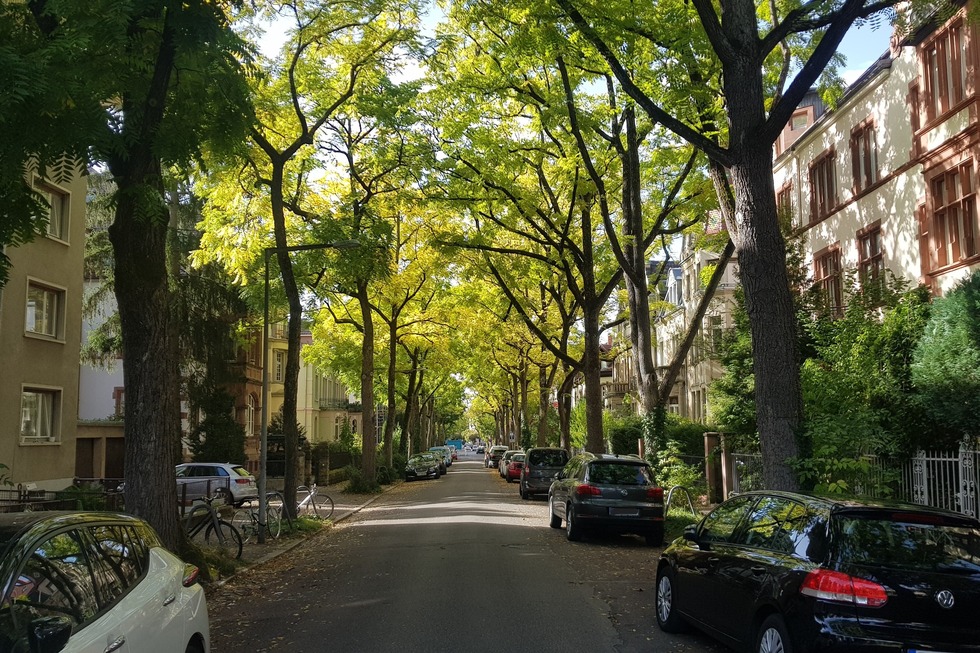 Burgunder Strae (Herdern) - Freiburg