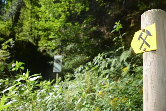 Bergbauhistorischer Lehrpfad am Birkenberg