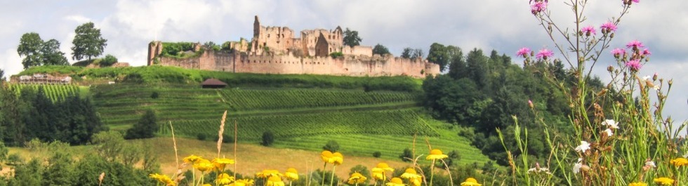 Burgen im Landkreis Emmendingen