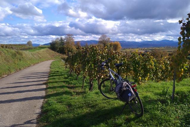 Tuniberg-Hhenradweg