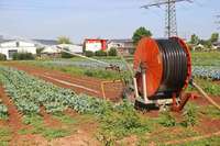 Btzingen will neue Brunnen fr Landwirte bauen