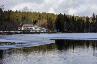 Khlerei am See