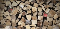 Kritik an Plnen der Stadt fr den Holzverkauf