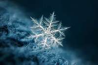 Viele Eiskristalle fr eine Schneeflocke