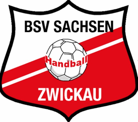 VfL Oldenburg - BSV Sachsen Zwickau - Oldenburg - 18.05.2024 18:00