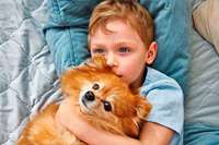 Was haben Tierqulerei und Kindeswohlgefhrdung miteinander zu tun?