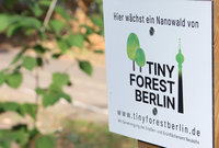 Mannheim bekommt ersten Tiny Forest in Baden-Wrttemberg