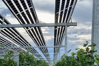 Wie in der Region Freiburg neue Formen der Solarenergie wachsen