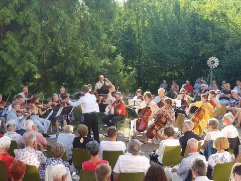 Serenadenkonzert des Orchestervereins collegium musicum - Oberkirch - 07.07.2024 18:00