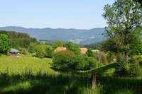 Rohrhardsberg ist Modellregion fr "harmonische Koexistenz" im Wald
