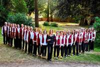 Die Akkordeon-Weltmeister aus Sulzburg verabschieden ihre Dirigentin Silke D&#8217;Inka