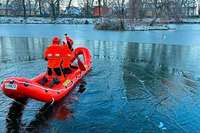 Staufener Wehrleute befreien im Stadtsee festgefrorene Gans