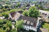 Wie Heitersheim seine gut 400 Jahre alte Gerichtslinde retten will